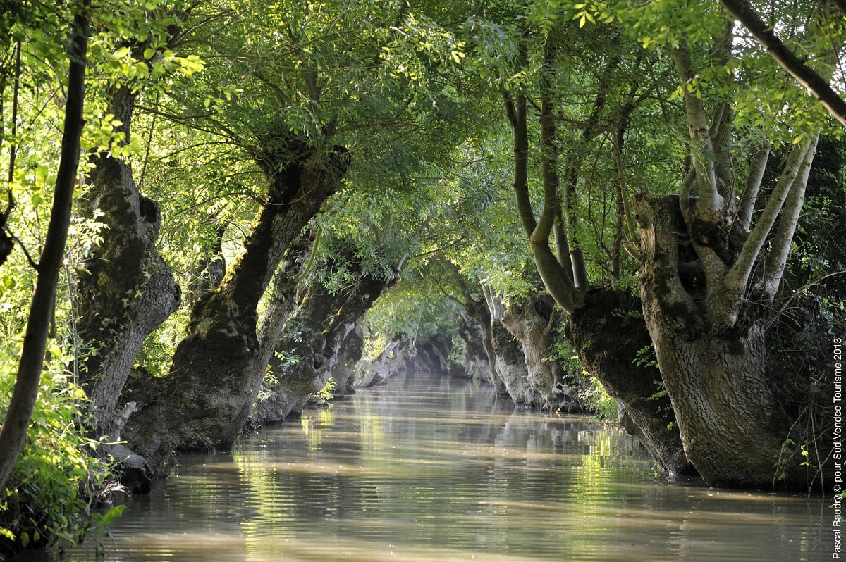 Tourisme en Vendée à la découverte du marais poitevin et de la Venise Verte , un village à découvrir lors de votre séjour en gite écologique en Vendée- Ecolieu La Gataudière