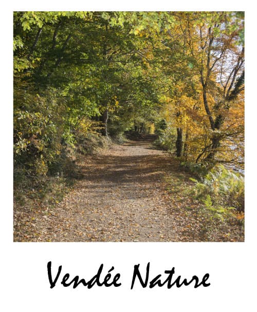 Tourisme en Vendée Nature à découvrir lors de votre séjour en gite écologique en Vendée- Ecolieu La Gataudière